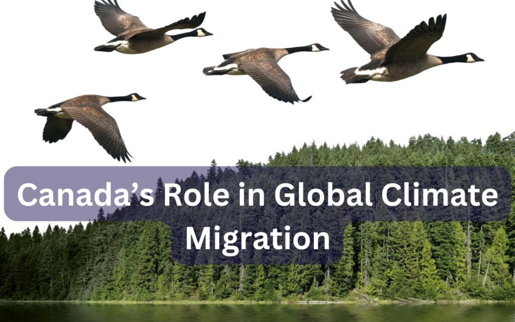 Canada’s Role in Global Climate Migration