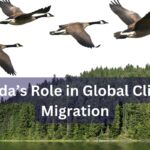 Canada’s Role in Global Climate Migration: Preparing for the Future