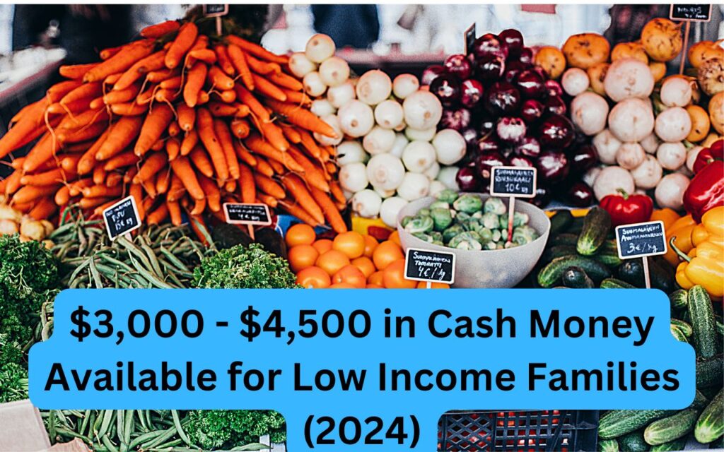 $3,000 - $4,500 in Cash Money Available for Low Income Families (2024)