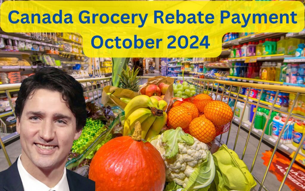 Canada Grocery Rebate Payment October 2024