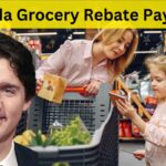 Canada Grocery Rebate Payment For 2024 :- Check Eligibility, and Grocery Amount